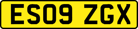 ES09ZGX