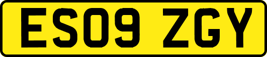 ES09ZGY
