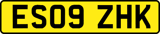 ES09ZHK