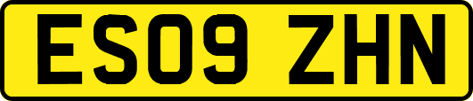 ES09ZHN