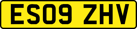 ES09ZHV