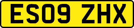 ES09ZHX