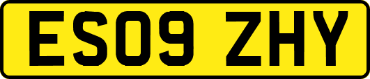 ES09ZHY