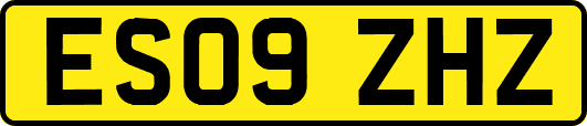 ES09ZHZ