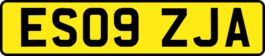 ES09ZJA