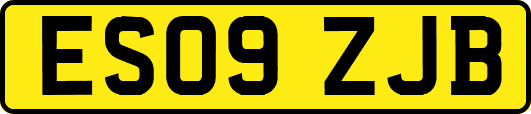 ES09ZJB