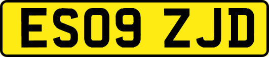 ES09ZJD