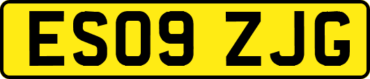 ES09ZJG