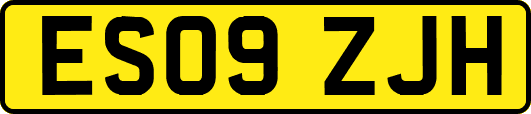 ES09ZJH