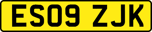 ES09ZJK