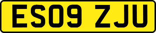 ES09ZJU