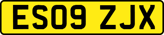 ES09ZJX