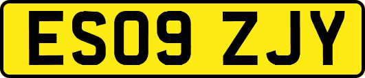 ES09ZJY