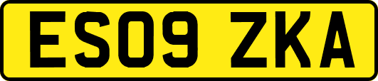 ES09ZKA