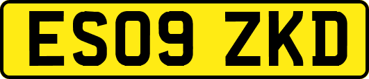 ES09ZKD