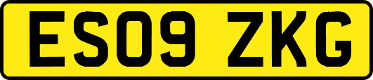 ES09ZKG