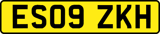 ES09ZKH