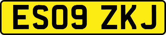 ES09ZKJ