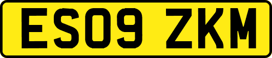 ES09ZKM