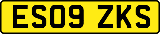 ES09ZKS