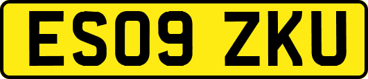 ES09ZKU