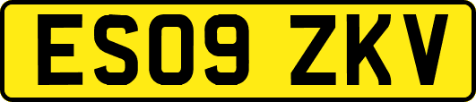ES09ZKV