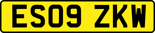 ES09ZKW