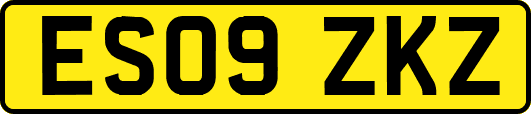 ES09ZKZ