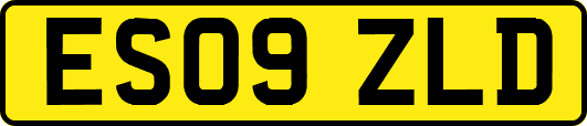 ES09ZLD