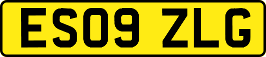 ES09ZLG