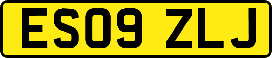 ES09ZLJ
