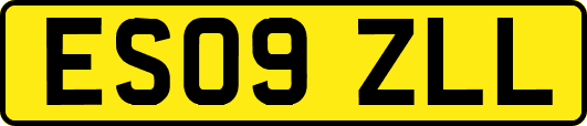 ES09ZLL