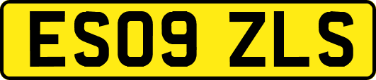 ES09ZLS