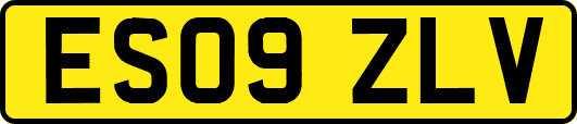 ES09ZLV