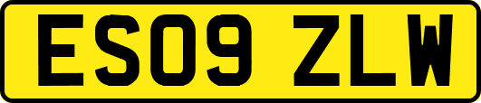 ES09ZLW