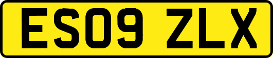 ES09ZLX