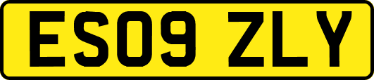 ES09ZLY
