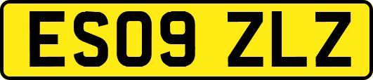 ES09ZLZ
