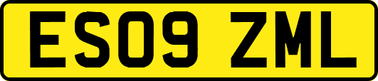 ES09ZML