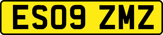 ES09ZMZ