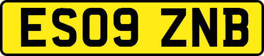 ES09ZNB