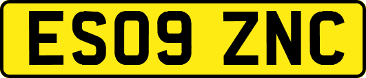 ES09ZNC