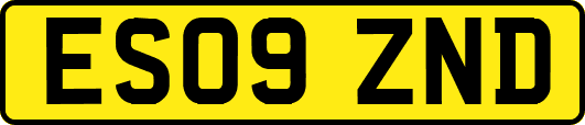 ES09ZND