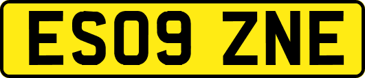 ES09ZNE