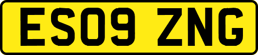 ES09ZNG