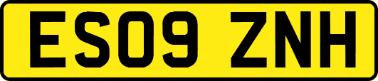 ES09ZNH