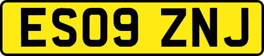 ES09ZNJ