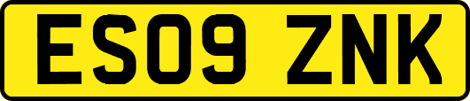 ES09ZNK