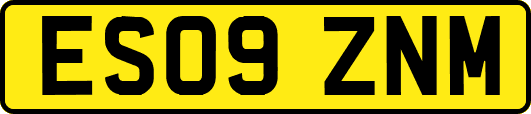 ES09ZNM