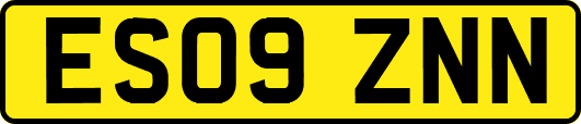 ES09ZNN